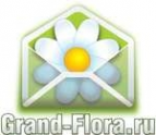 Логотип компании Доставка цветов Гранд Флора (ф-л г. Хадыженск)